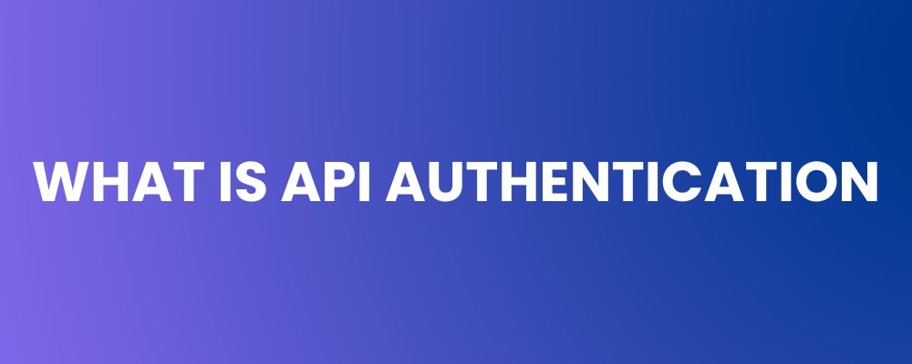 What is API Authentication